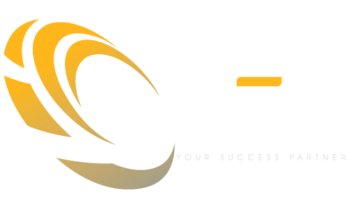 Nplay partner brand logo